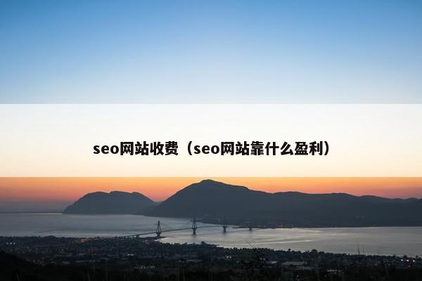 seo网站收费（seo网站靠什么盈利）