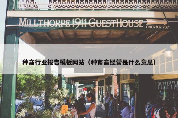 种禽行业报告模板网站（种畜禽经营是什么意思）