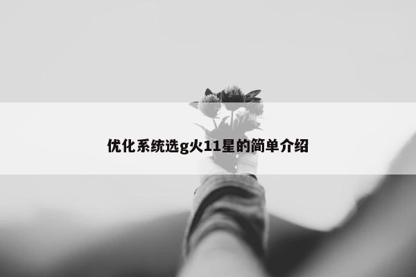 优化系统选g火11星的简单介绍