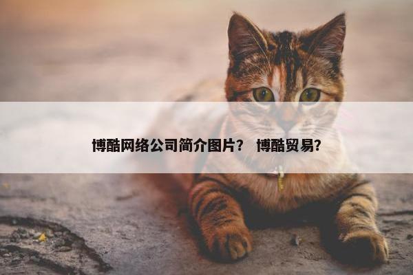 博酷网络公司简介图片？ 博酷贸易？