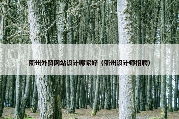 衢州外贸网站设计哪家好（衢州设计师招聘）