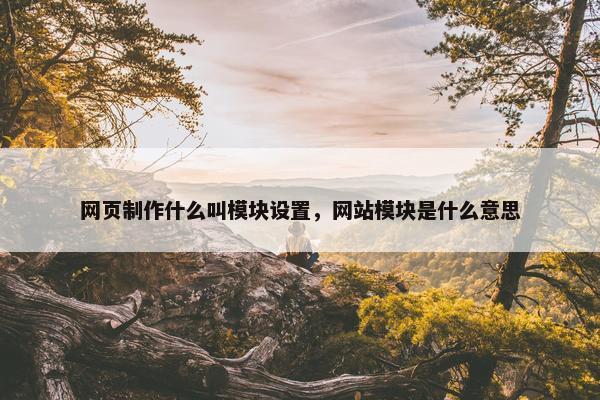 网页制作什么叫模块设置，网站模块是什么意思