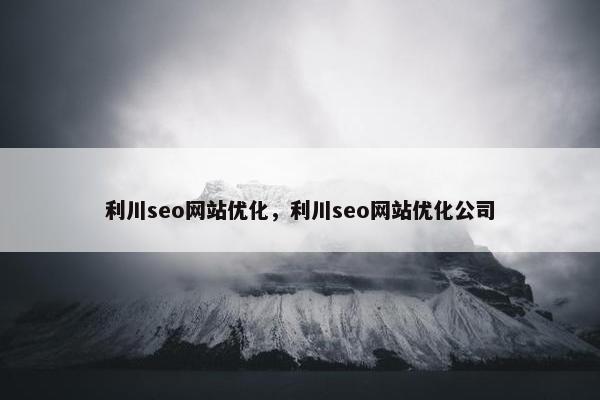 利川seo网站优化，利川seo网站优化公司