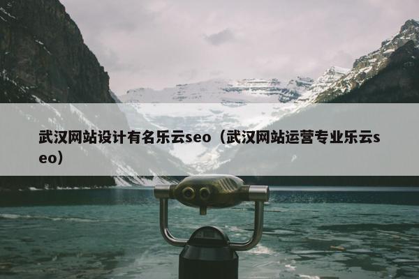 武汉网站设计有名乐云seo（武汉网站运营专业乐云seo）