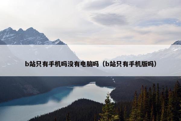 b站只有手机吗没有电脑吗（b站只有手机版吗）