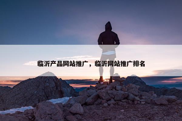 临沂产品网站推广，临沂网站推广排名