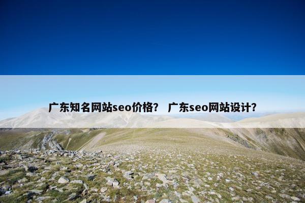 广东知名网站seo价格？ 广东seo网站设计？
