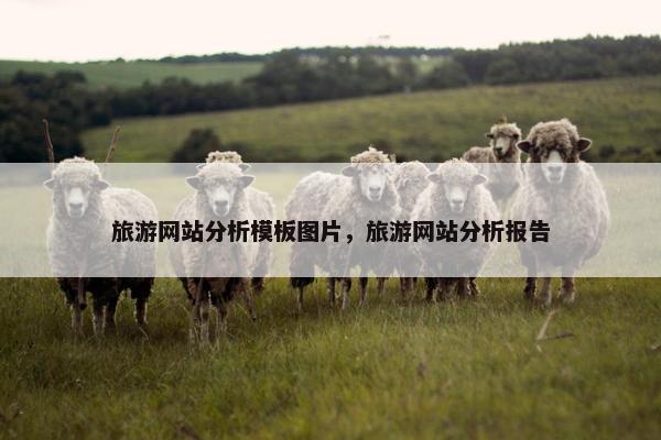 旅游网站分析模板图片，旅游网站分析报告