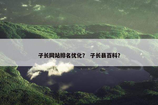 子长网站排名优化？ 子长县百科？