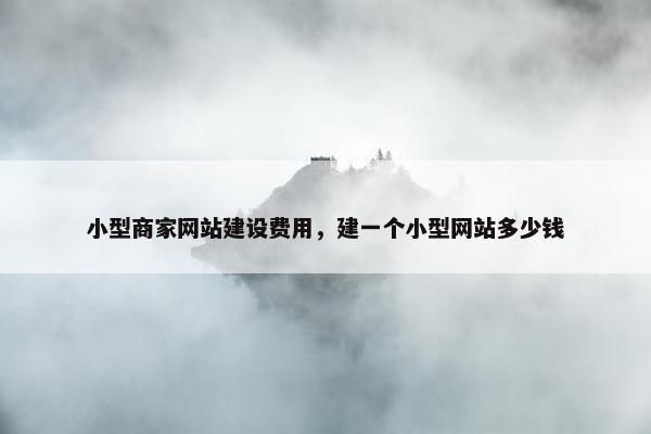 小型商家网站建设费用，建一个小型网站多少钱