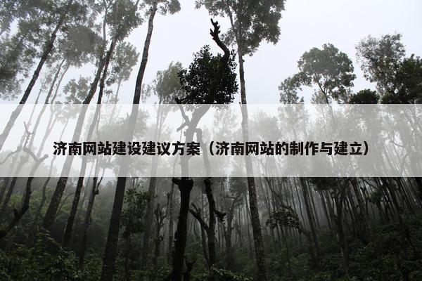 济南网站建设建议方案（济南网站的制作与建立）