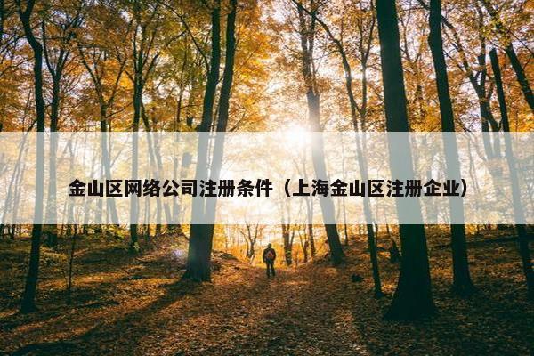 金山区网络公司注册条件（上海金山区注册企业）