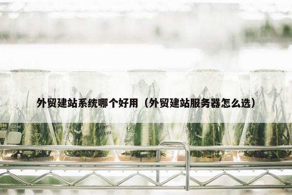 外贸建站系统哪个好用（外贸建站服务器怎么选）