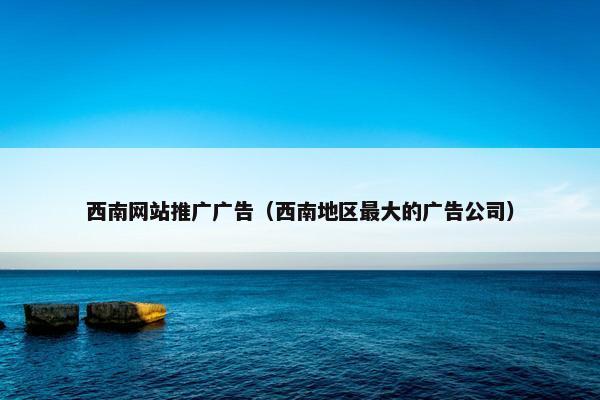 西南网站推广广告（西南地区最大的广告公司）