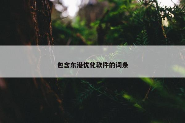 包含东港优化软件的词条