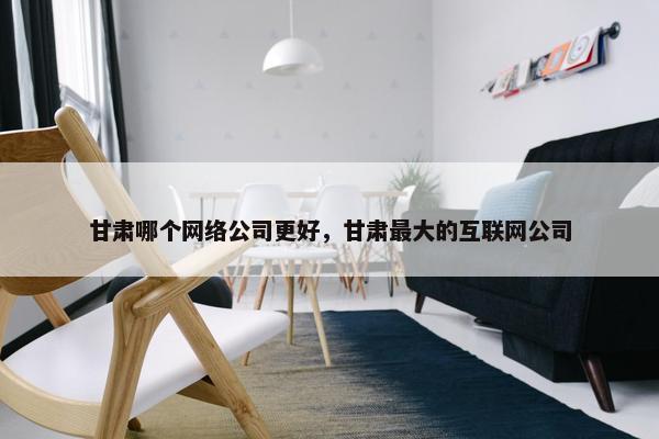 甘肃哪个网络公司更好，甘肃最大的互联网公司