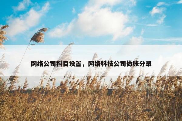 网络公司科目设置，网络科技公司做账分录