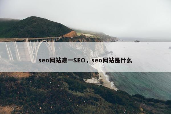 seo网站凉一SEO，seo网站是什么