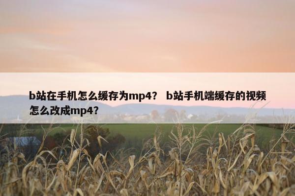 b站在手机怎么缓存为mp4？ b站手机端缓存的视频怎么改成mp4？