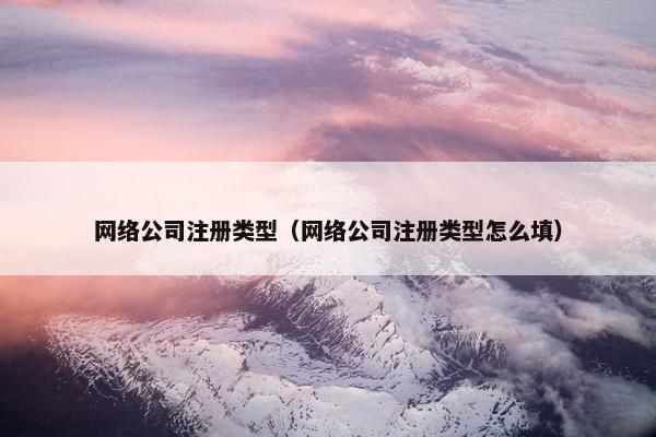 网络公司注册类型（网络公司注册类型怎么填）
