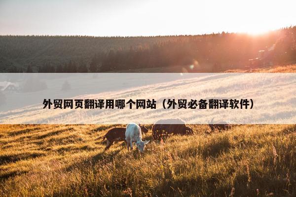外贸网页翻译用哪个网站（外贸必备翻译软件）
