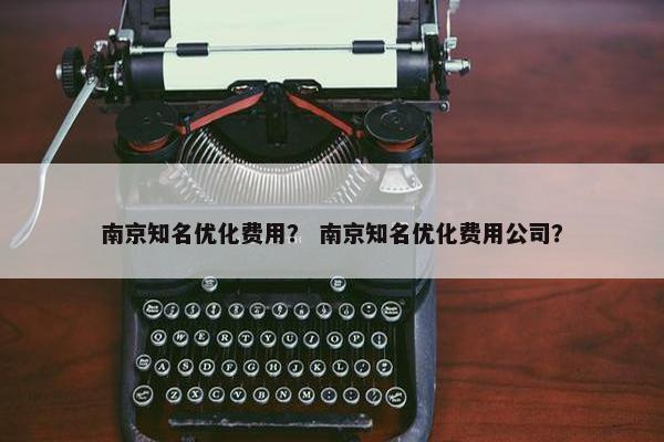 南京知名优化费用？ 南京知名优化费用公司？