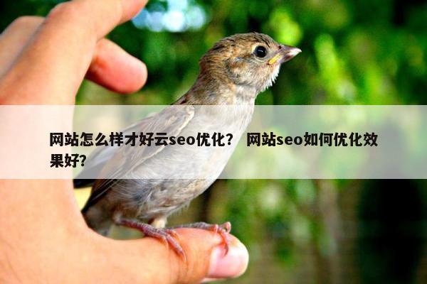 网站怎么样才好云seo优化？ 网站seo如何优化效果好？