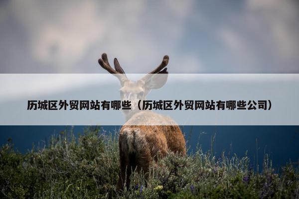 历城区外贸网站有哪些（历城区外贸网站有哪些公司）