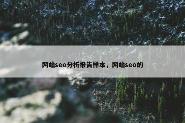 网站seo分析报告样本，网站seo的