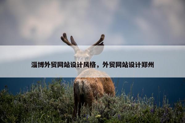 淄博外贸网站设计风格，外贸网站设计郑州