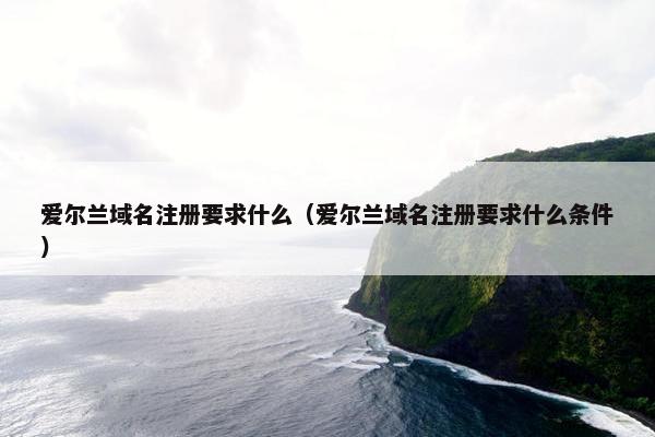 爱尔兰域名注册要求什么（爱尔兰域名注册要求什么条件）