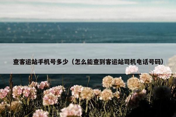 查客运站手机号多少（怎么能查到客运站司机电话号码）