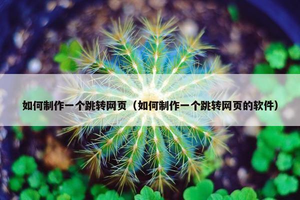 如何制作一个跳转网页（如何制作一个跳转网页的软件）