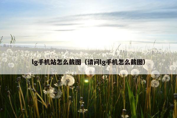 lg手机站怎么截图（请问lg手机怎么截图）
