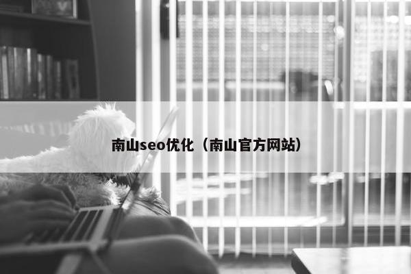 南山seo优化（南山官方网站）