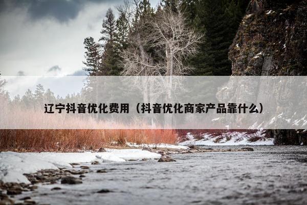 辽宁抖音优化费用（抖音优化商家产品靠什么）