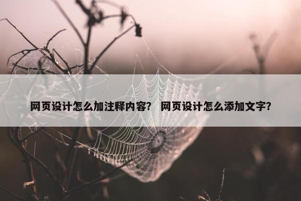 网页设计怎么加注释内容？ 网页设计怎么添加文字？