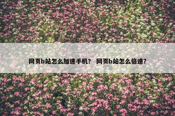 网页b站怎么加速手机？ 网页b站怎么倍速？