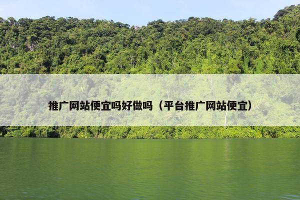 推广网站便宜吗好做吗（平台推广网站便宜）