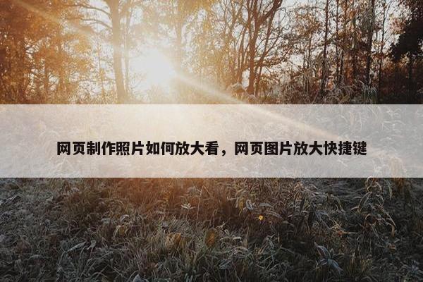 网页制作照片如何放大看，网页图片放大快捷键