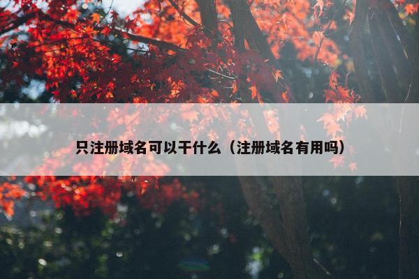 只注册域名可以干什么（注册域名有用吗）
