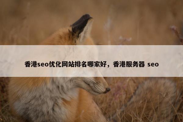 香港seo优化网站排名哪家好，香港服务器 seo