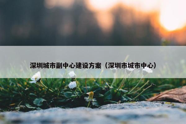 深圳城市副中心建设方案（深圳市城市中心）