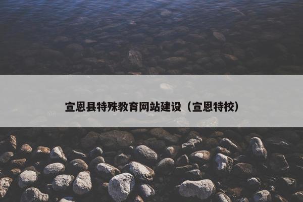 宣恩县特殊教育网站建设（宣恩特校）