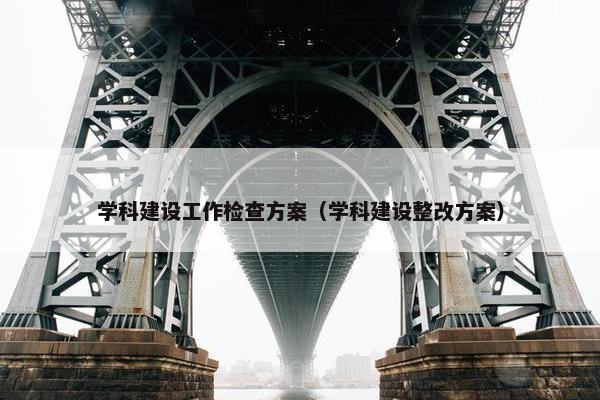 学科建设工作检查方案（学科建设整改方案）
