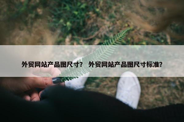 外贸网站产品图尺寸？ 外贸网站产品图尺寸标准？