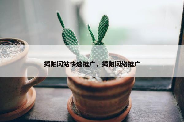 揭阳网站快速推广，揭阳网络推广