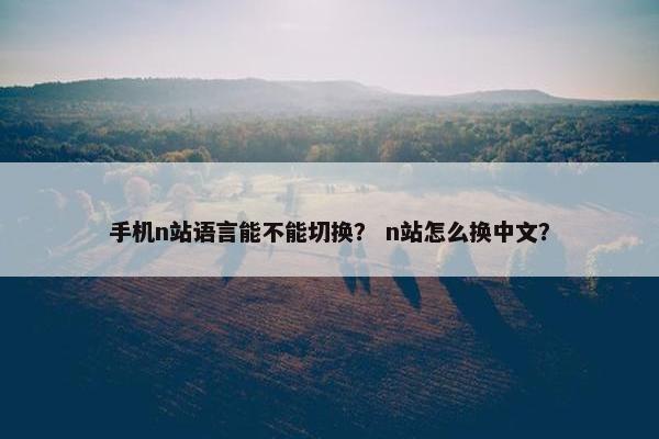 手机n站语言能不能切换？ n站怎么换中文？