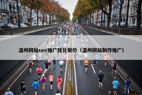 温州网站seo推广优化报价（温州网站制作推广）