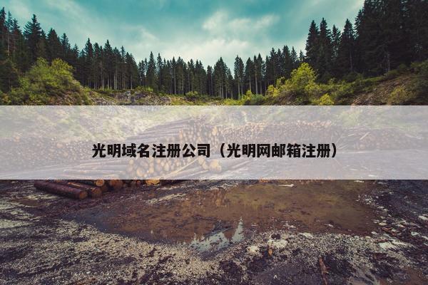 光明域名注册公司（光明网邮箱注册）